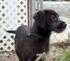 Zeek
