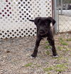 Zeek