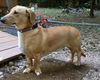 Bosley