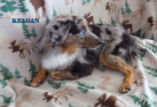 Kegan