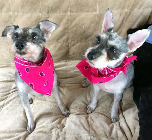 Sophia and Ava