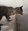 Tillie Mae/pc/kk
