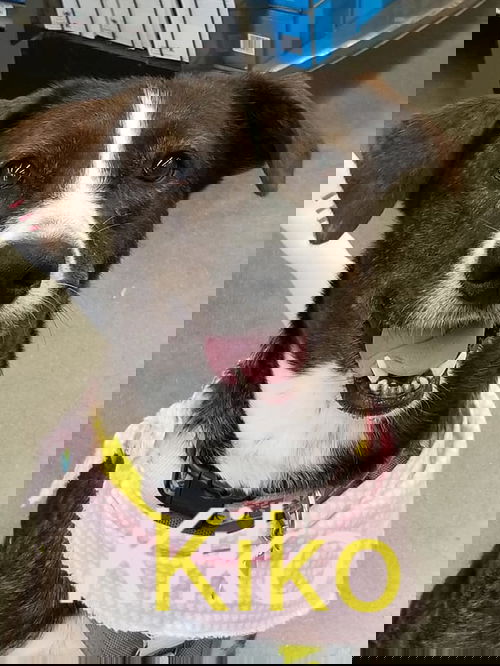 Kiko/eileen