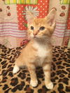 Benny/l/kk