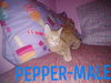 Pepper/sm