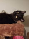 Missy/se