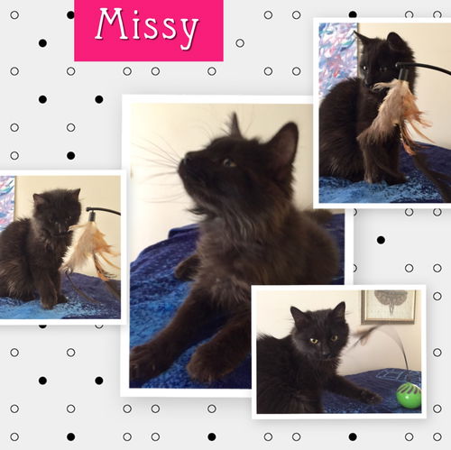 Missy/se