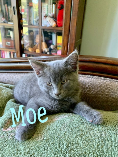 Moe/th