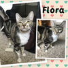 Flora/al