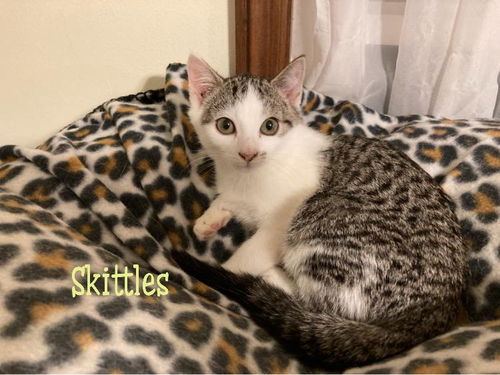 Skittles/kk
