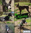Kinsley
