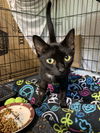 Minnie Pearl  th