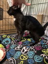 Minnie Pearl  th
