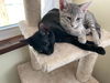 Smokey & Bandit