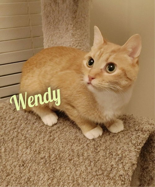 Wendy/mb