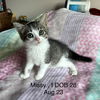 Missy th