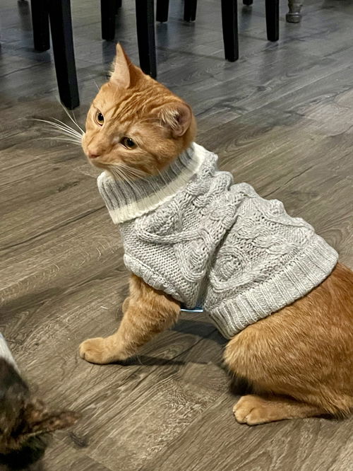 Pippin was Theo