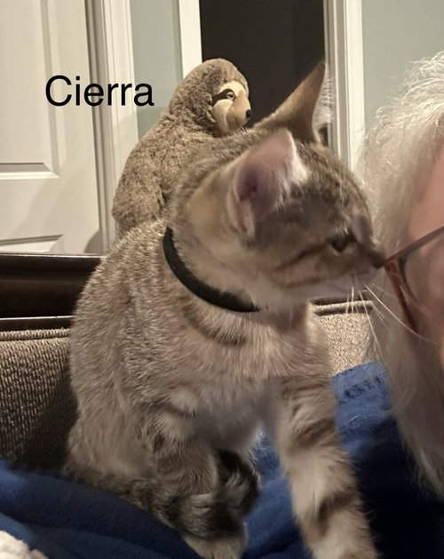Cierra. (th)'s  Page