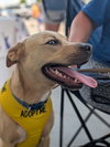 Jake  (ln) - Photo 5