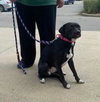 Rayla - Photo 6