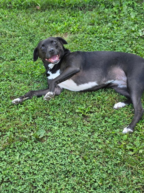 Rayla photo 3