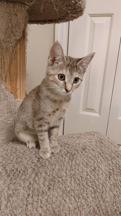 Sofie  (mb)