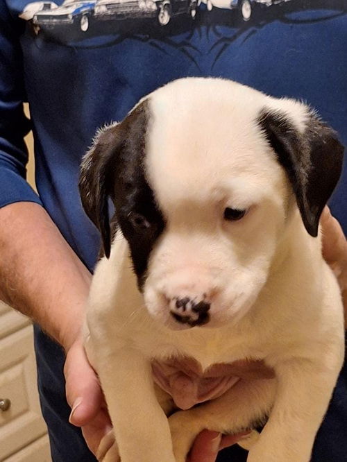 Tucker (mbc)