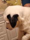 Tucker (mbc)