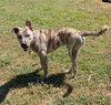 Simon - bdm - Photo 2
