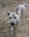 Simon - bdm - Photo 1
