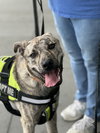 Simon - bdm - Photo 2