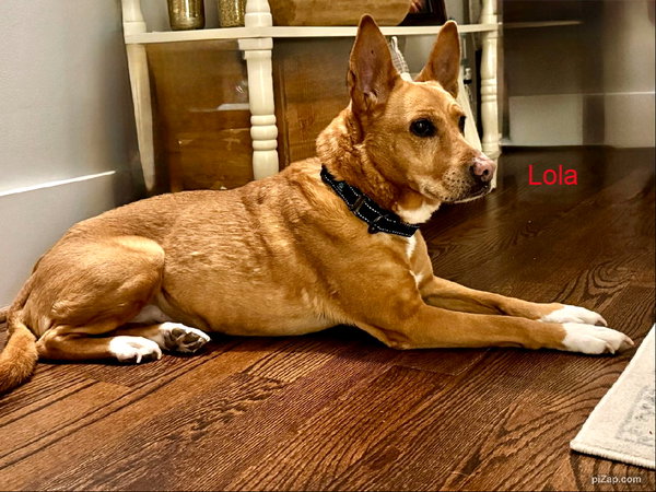 Lola  (ae)