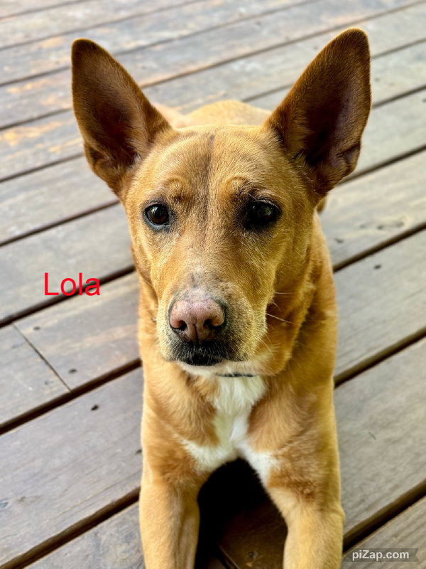 Lola  (ae)