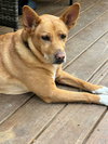 Lola  (ae) - Photo 2