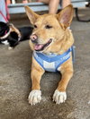 Lola  (ae) - Photo 3