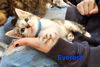 Everest ( bb)