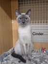 Cinder   (th)