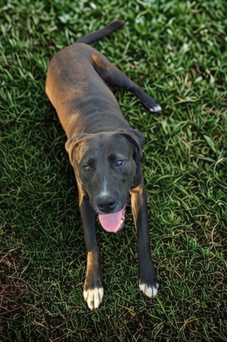 Bruce (jh)