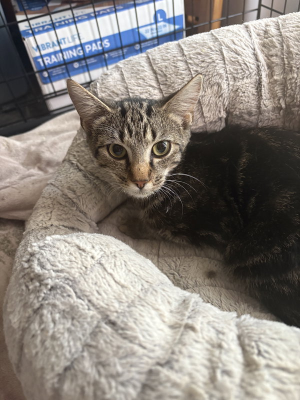 Sammy (rt)