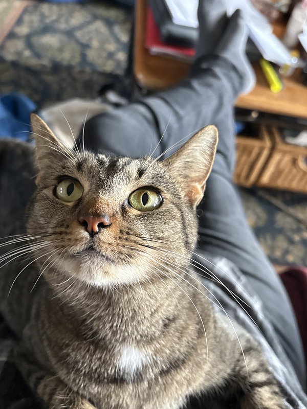 Winnie