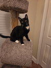McKenzie or Mac - Photo 2