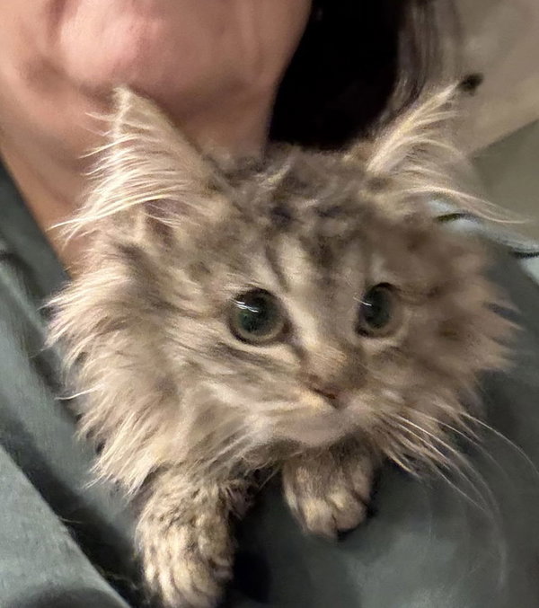 Fluffy  (th)