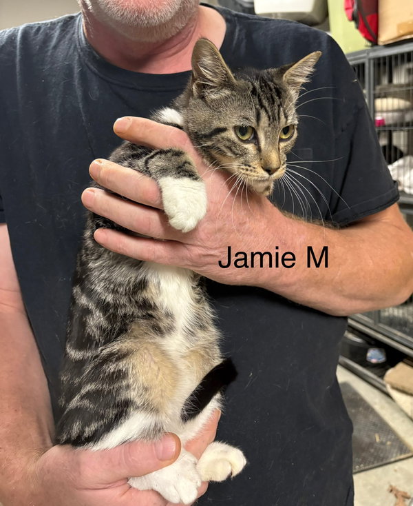 Jamie  (th)
