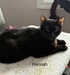 Hannah ( th) - Photo 1