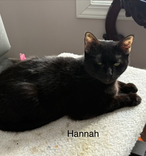 Hannah ( th)