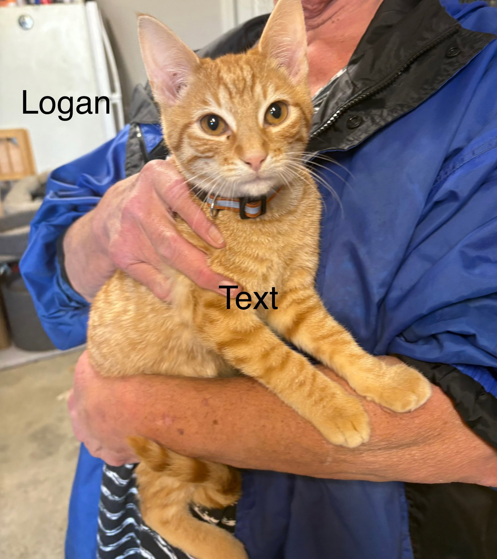 Logan