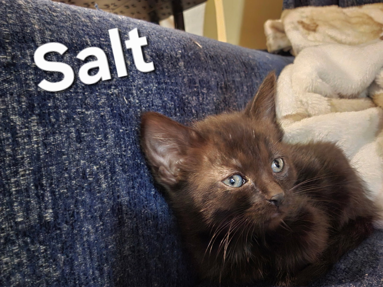 Salt.     (NB)