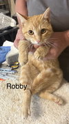 Robby - Photo 1