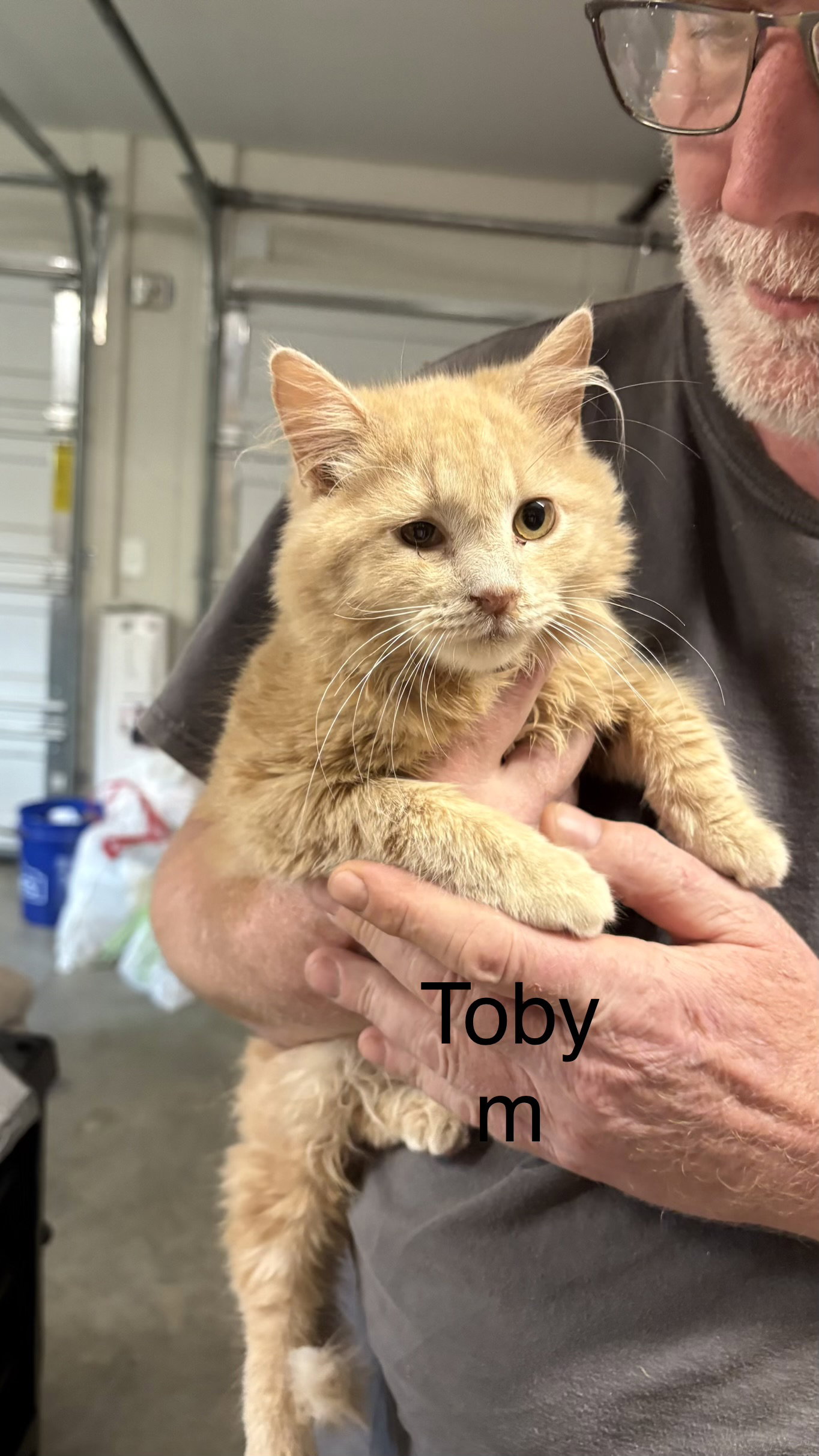 Toby