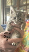 Jamie - Photo 1